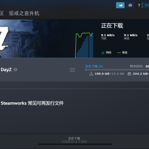 DayZ点击下载游戏为什么速度很慢？